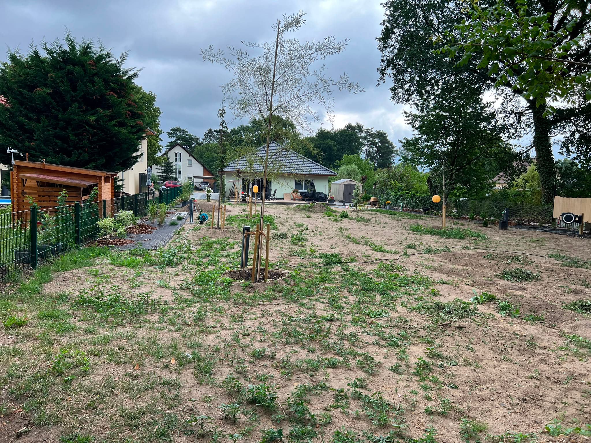 Gartengestaltung – Vorher 1